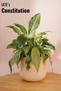 IATE 2025 constitution